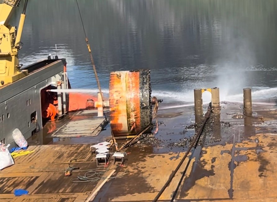 Decommissioning of surface buoys